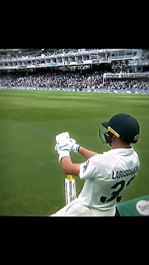 The way bro stands and look at Archer馃ザ馃敟
.
.
.
#cricket #cricketlovers #cricketreels #marnuslabuschagne #reels