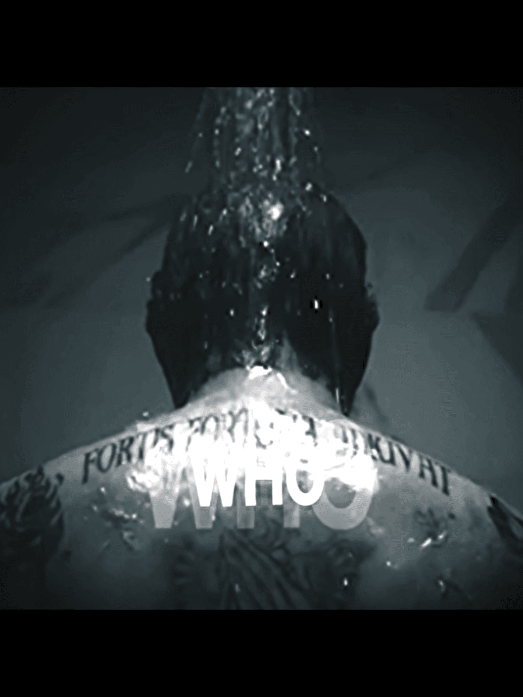 Fan edit by @α΄α΄ΚΙ΄Ι΄Κ β
