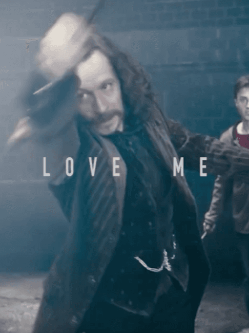 Fan edit by @thewizardprojecthp